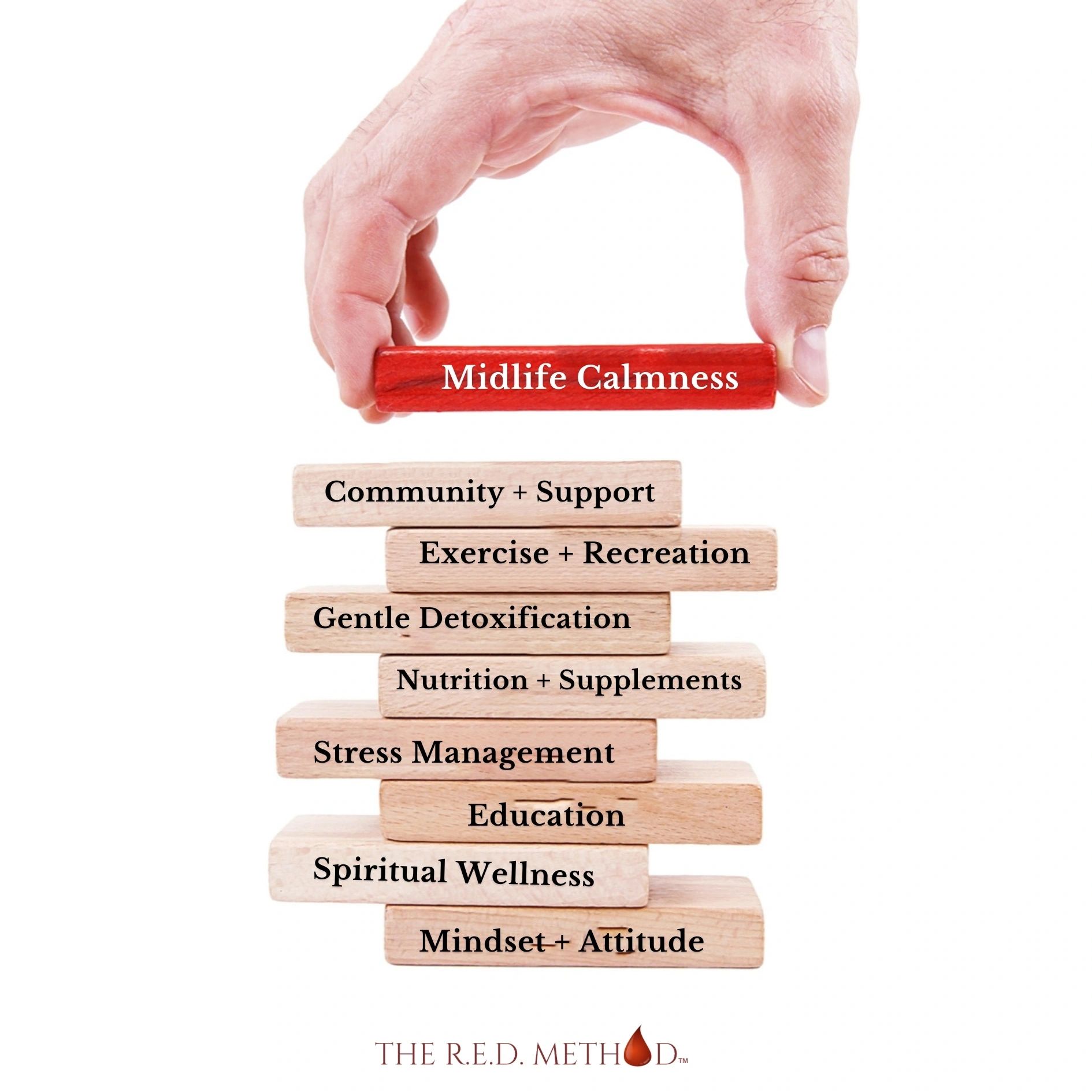 Hormonal health foundation